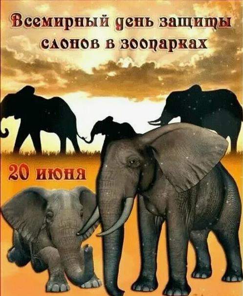 Открытка с африканскими слонами ко всемирному дню из защиты в зоопарках по всему миру. Открытка с африканскими слонами ко всемирному дню из защиты в зоопарках по всему миру.