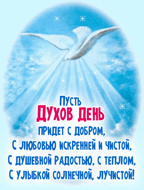 Мигающая гиф открытка пусть Духов день придёт с добром. Мигающая гиф открытка пусть Духов день придёт с добром.