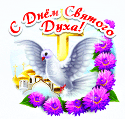 Анимированный стикер с голубем мира ко дню Святого духа на прозрачном фоне. Анимированный стикер с голубем мира ко дню Святого духа на прозрачном фоне.