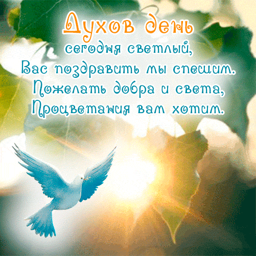 Новые гифки сегодня Духов день с пожеланиями и поздравлениями. Новые гифки сегодня Духов день с пожеланиями и поздравлениями.