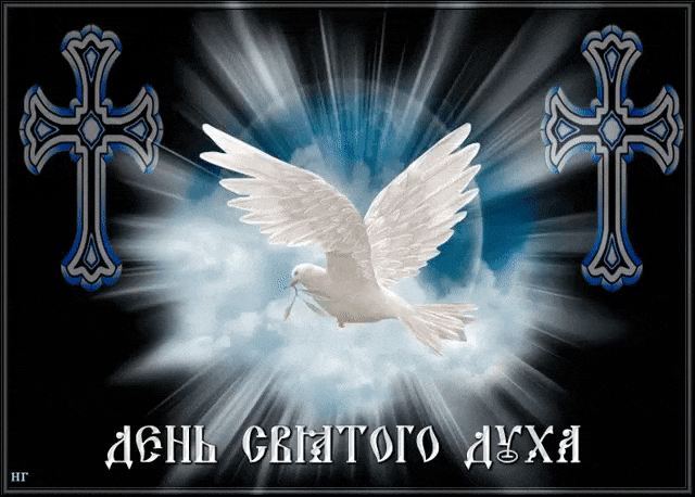 Анимация с голубем мира на чёрном фоне в Духов день. Анимация с голубем мира на чёрном фоне в Духов день.