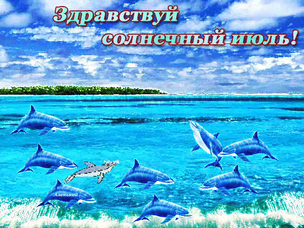 Морская анимация с дельфина и текстом "Здравствуй солнечный Июль!".