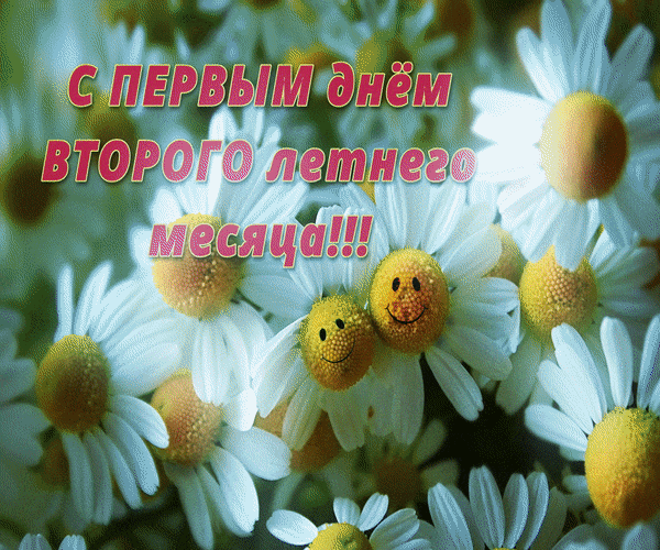 Мигающая анимация с радостными ромашками "С первым днём второго летнего месяца!".