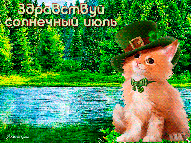 Милая яркая гифка с котёнком "Здравствуй солнечный Июль!".