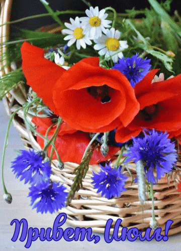 Волшебная анимация "Привет, Июль!".