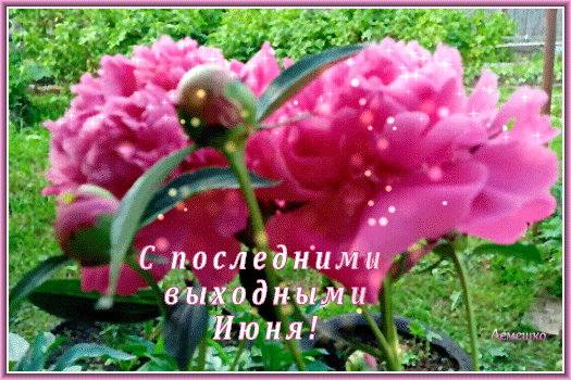 Мерцающая gif картинка с цветами и надписью "С последними выходными Июня!". Мерцающая gif картинка с цветами и надписью "С последними выходными Июня!".