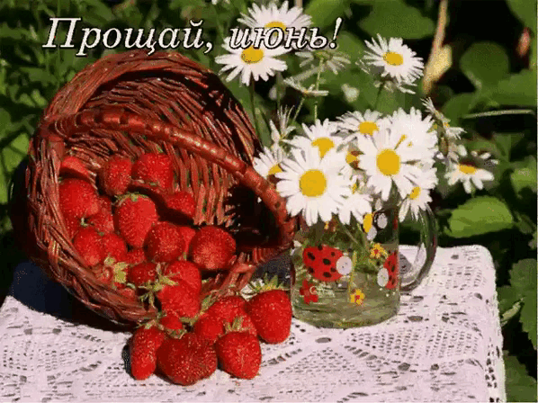 Летние гифки прощай, Июня. Летние гифки прощай, Июня.