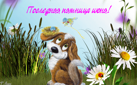 Прикольная гиф открытка с собачкой и надписью "Последняя пятница Июня!". Прикольная гиф открытка с собачкой и надписью "Последняя пятница Июня!".