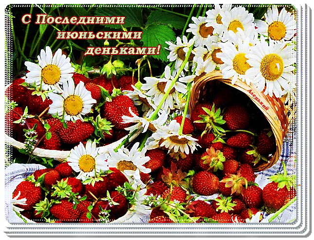 Ягодно - ромашковая гифка с последними Июньскими деньками. Ягодно - ромашковая гифка с последними Июньскими деньками.