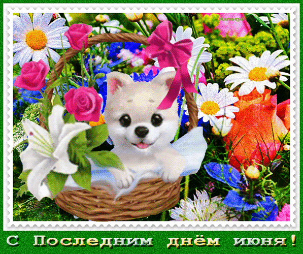 Смешная гиф открытка с собачкой на последний Июньский день. Смешная гиф открытка с собачкой на последний Июньский день.