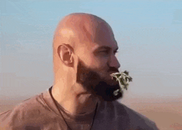 Гифка где Джига ест кинзу, как Верблюд - настоящий Мем и хит в сети.