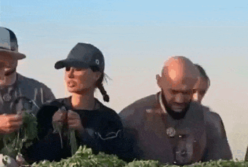 А на этой гиф картинки Джигин берёт зелень из кучи и жуёт её.