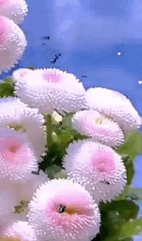 Красивая летняя гиф открытка с пожеланием доброго утра в последний Июньский день. Красивая летняя гиф открытка с пожеланием доброго утра в последний Июньский день.