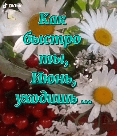 Летняя анимация как быстро ты, Июнь, уходишь. Ещё так мало встречено рассветов. Летняя анимация как быстро ты, Июнь, уходишь. Ещё так мало встречено рассветов.