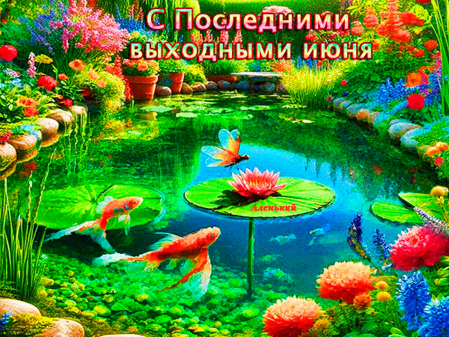 Яркая анимация с рыбками в пруду на последние выходные Июня. Яркая анимация с рыбками в пруду на последние выходные Июня.