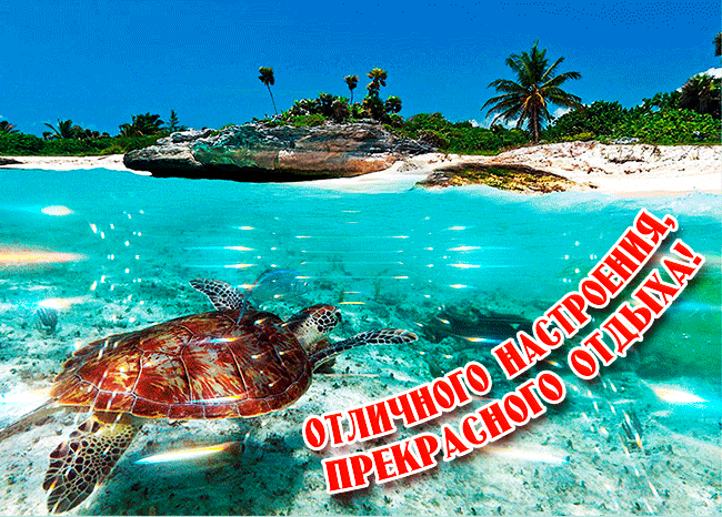 Нереально красивые гифки отличного настроения, прекрасного отдыха с морским - пляжным пейзажем. Нереально красивые гифки отличного настроения, прекрасного отдыха с морским - пляжным пейзажем.