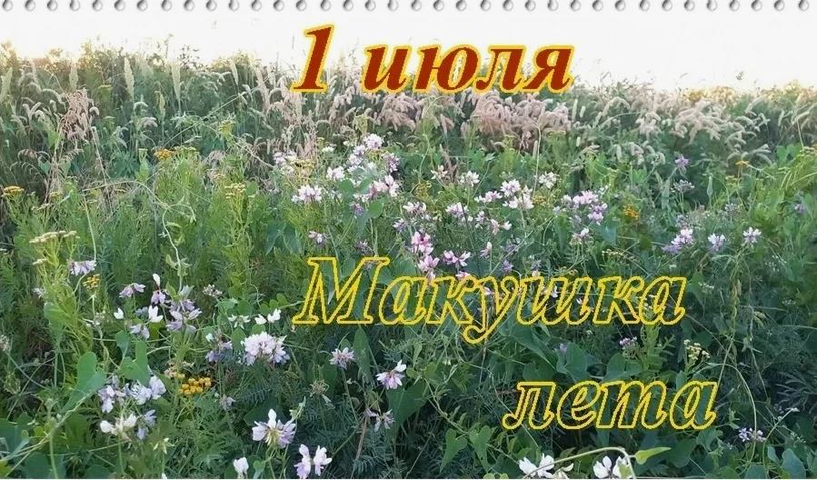 Фото с природой на 1 Июля - макушку лета.