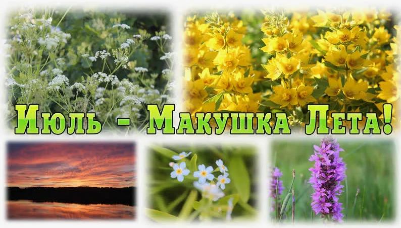 Коллаж из картинок с цветами и закатом и текстом "Июль - Макушка Лета!".