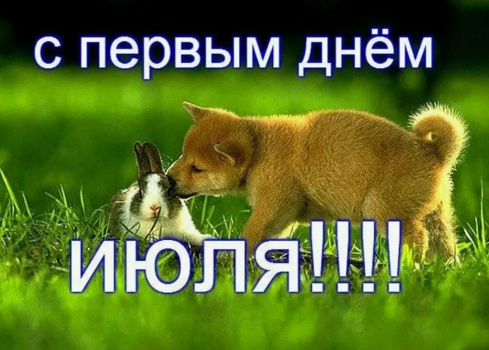 Смешная картинка с животными и поздравлениями с первым днём Июля.