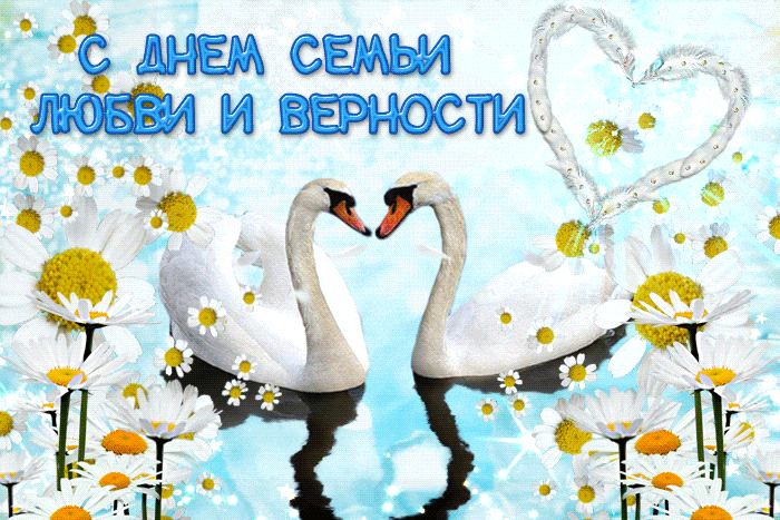 Красивая гиф открытка с лебедями в виде сердца на фоне ромашек с поздравлением с днём семьи, любви и верности. Красивая гиф открытка с лебедями в виде сердца на фоне ромашек с поздравлением с днём семьи, любви и верности.