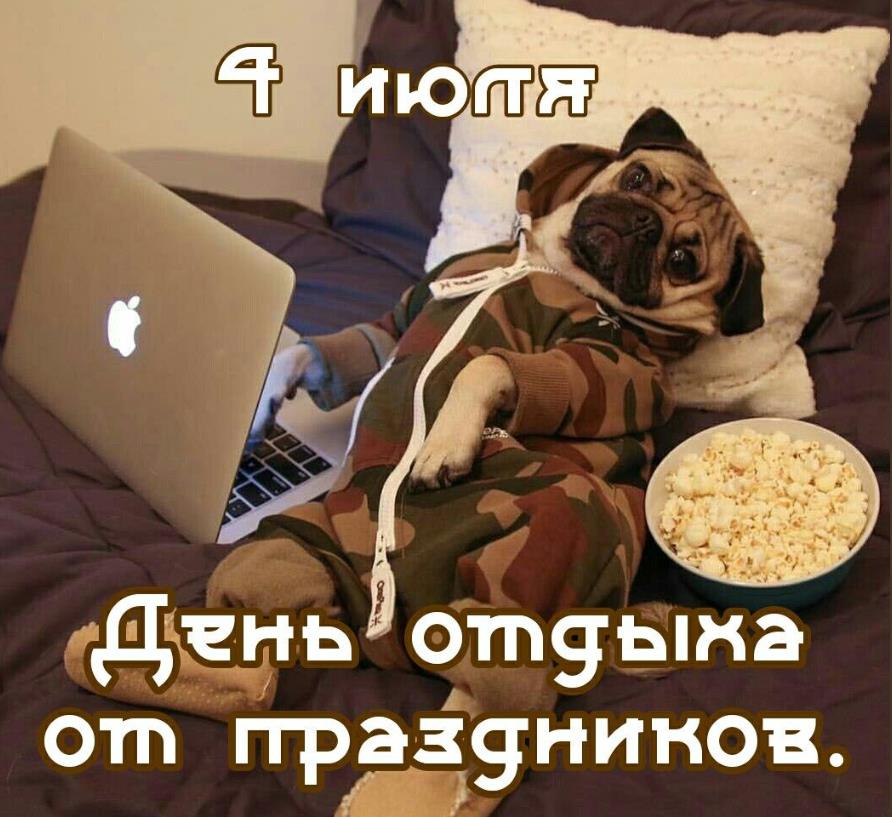 Ещё одно забавное фото с собакой в постели, отдыхающей от праздников.