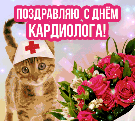 Смешная гифка с котом в медицинской шапке и надписью "Поздравляю с днём кардиолога!".
