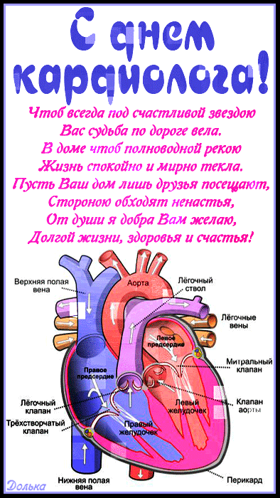 Новые гифки с Всемирным днём Кардиолога 6 Июля со строением сердца.
