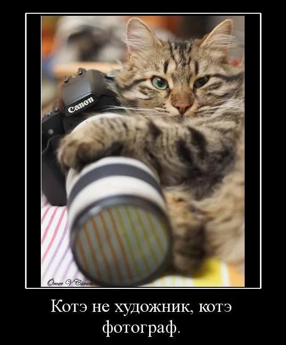 Угарный демотиватор "Котэ не художник, котэ фотограф!". Угарный демотиватор "Котэ не художник, котэ фотограф!".