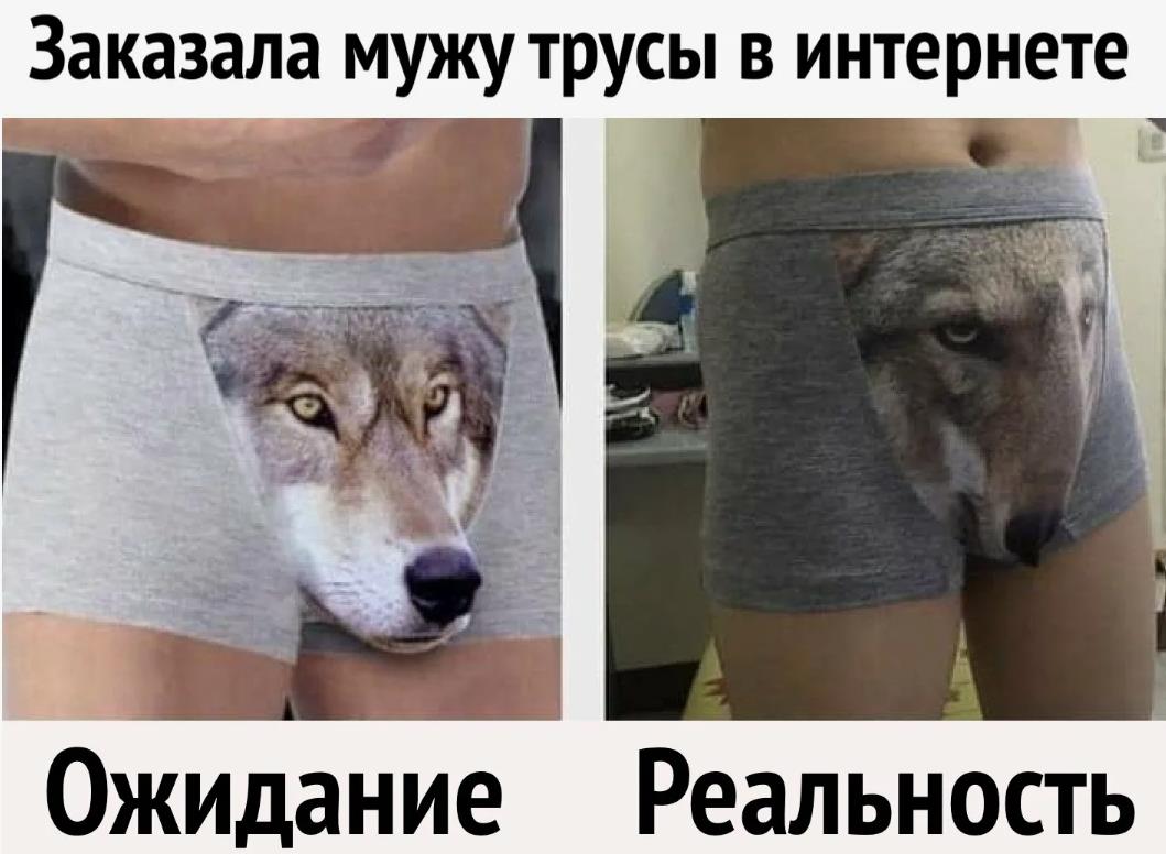 Смешной мем трусы с волком ожиданием и реальность.