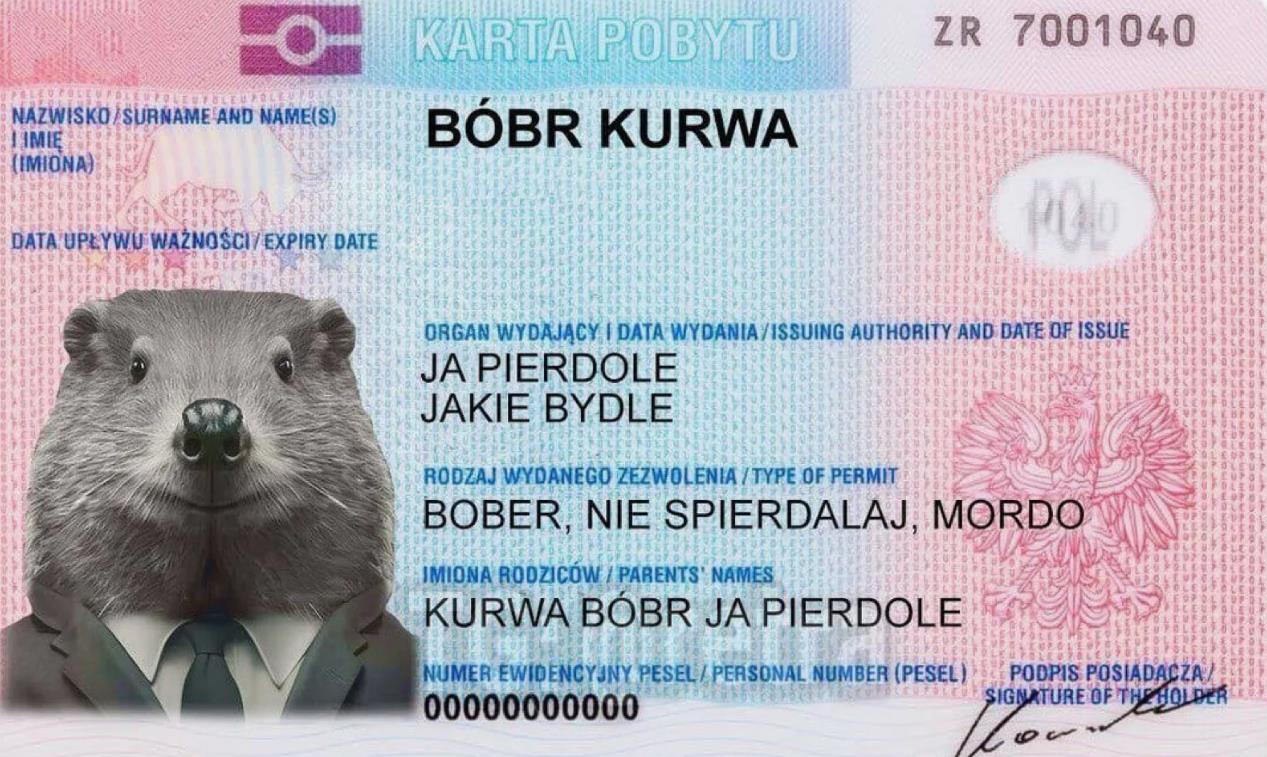 Bobr kurwa мем - фото паспорта Поляка.