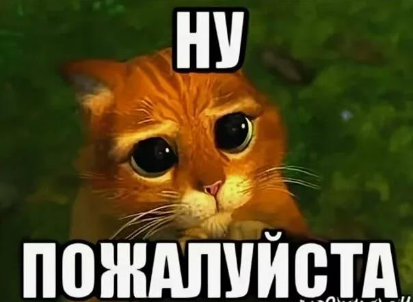 Ну пожалуйста мем с рыжим котом из Шрека.