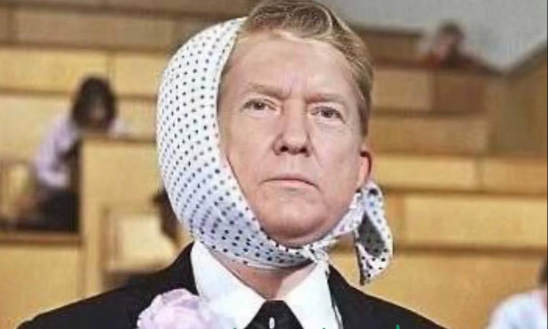 Пародия с Трампом на Советскую комедию "Приключения Шурика" - ухо жалко.