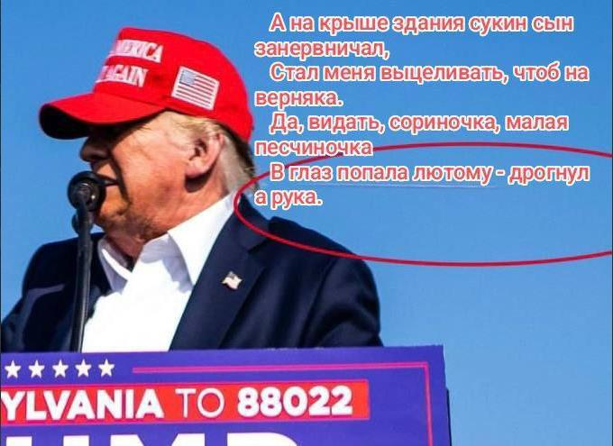 Демотиватор про дрогнувшую руку, того кто покусился на ухо Дональда.