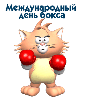 Смешной гиф стикер с котом в перчатках ко дню бокса на белом фоне. Смешной гиф стикер с котом в перчатках ко дню бокса на белом фоне.