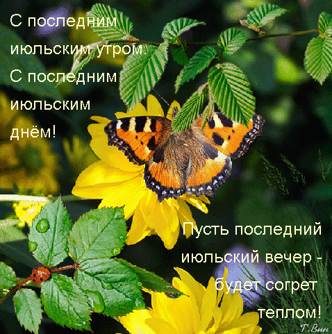 Мерцающая gif картинка с последним Июльским днём. Пусть последний Июльский вечер - будет согрет теплом. Мерцающая gif картинка с последним Июльским днём. Пусть последний Июльский вечер - будет согрет теплом.