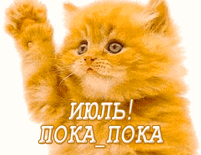 Смешной гиф стикер с котёнком на прозрачном фоне и надпись "Июль! Пока, пока!". Смешной гиф стикер с котёнком на прозрачном фоне и надпись "Июль! Пока, пока!".