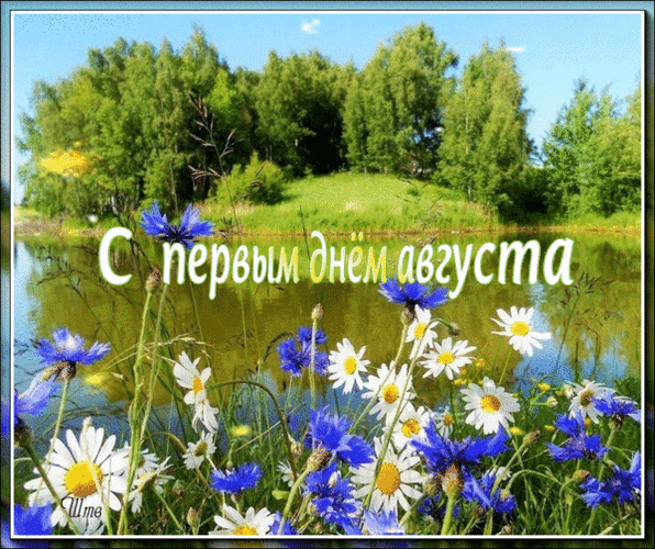 Летняя анимация с цветами у озера и надписью "С первым днём Августа!".