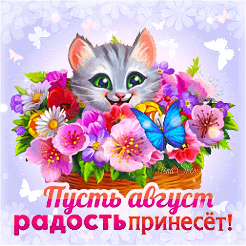 Летний прикольный гиф стикер с котёнком в цветах "Пусть август радость принесёт!".