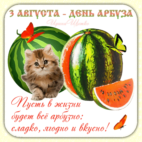 Креативная гифка с надписью "3 августа - день арбуза!" и пожеланиями.