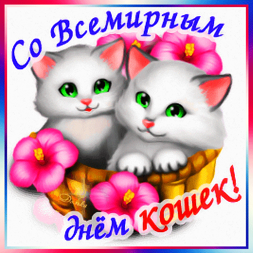 Милый анимированный стикер со всемирным днём кошек.