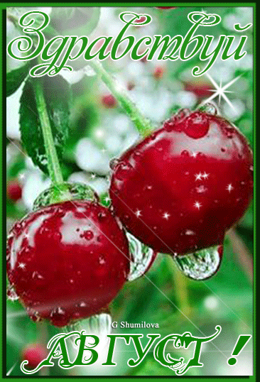 Вишнёвая мерцающая gif картинка с надписью "Здравствуй август!".