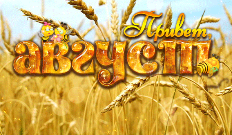 Блестящая гиф открытка привет Август.