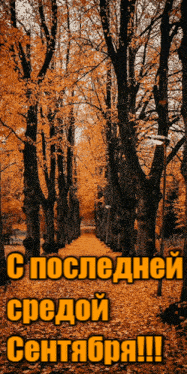 Грустная гифка с листопадом 25.09.2024 последняя среда первого осеннего месяца Сентября. Грустная гифка с листопадом 25.09.2024 последняя среда первого осеннего месяца Сентября.