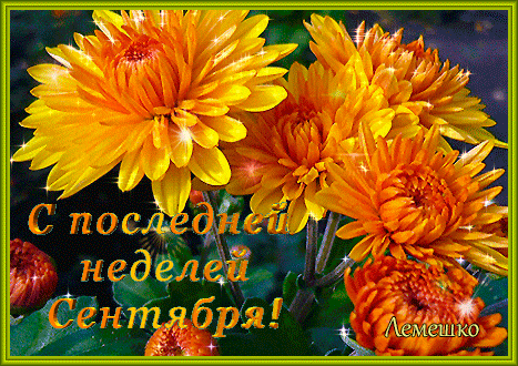 Красивая гифка с цветами для поздравления с последней неделей сентября. Красивая гифка с цветами для поздравления с последней неделей сентября.