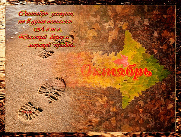 Гиф Сентябрь уходит, но в душе осталось Лето. Гиф Сентябрь уходит, но в душе осталось Лето.