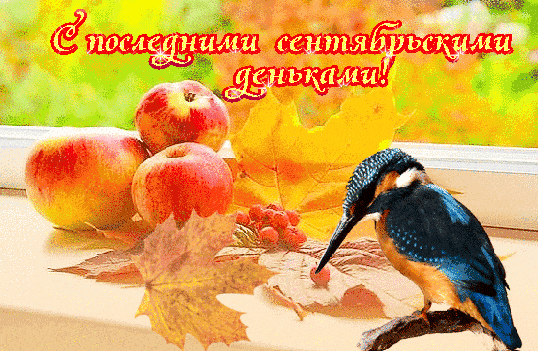 Мерцающая gif картинка с птичкой и поздравлением с последними сентябрьскими деньками Мерцающая gif картинка с птичкой и поздравлением с последними сентябрьскими деньками