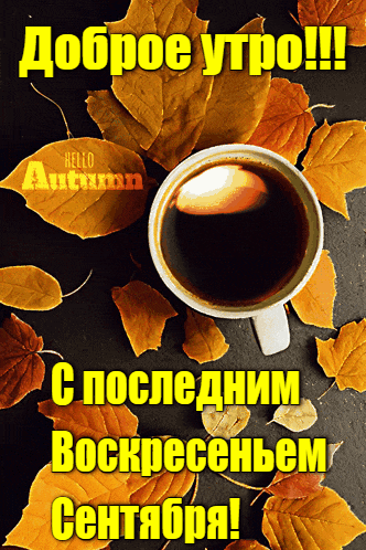 Красивая gif картинки с кофе и пожеланием доброго осеннего утра в последнее Воскресенье Сентября. Красивая gif картинки с кофе и пожеланием доброго осеннего утра в последнее Воскресенье Сентября.
