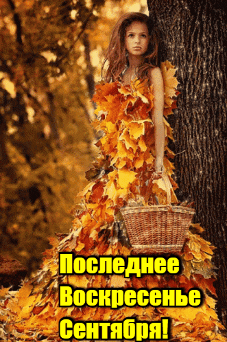 Красивые гифки с осенними листьями на последнее воскресенье Сентября для девушек. Красивые гифки с осенними листьями на последнее воскресенье Сентября для девушек.