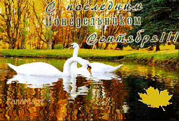 Блестящая гиф открытка с белыми лебедями и поздравлениям с последним понедельником Сентября. Блестящая гиф открытка с белыми лебедями и поздравлениям с последним понедельником Сентября.