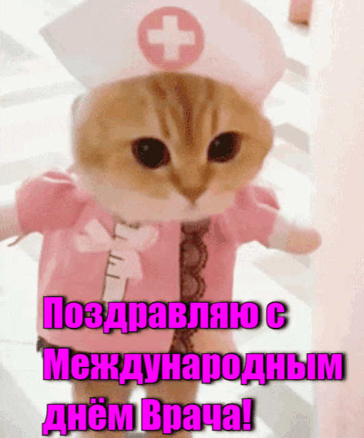 Милая анимация с кошечкой в униформе медсестры на международный праздник врачей в первый понедельник Октября. Милая анимация с кошечкой в униформе медсестры на международный праздник врачей в первый понедельник Октября.